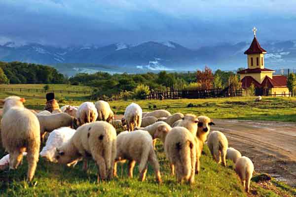  sibiu attractions romania points of interest at the carpathian mountains