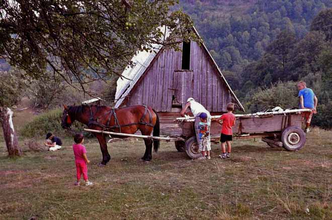 block house romania, shepherds hut to rent in the transylvanian mountains