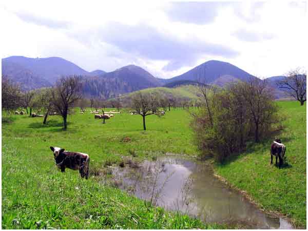 vacation transylvania landscape