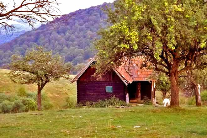 romantisch einsame blockhütte mieten karpaten siebenbürgen rumänien